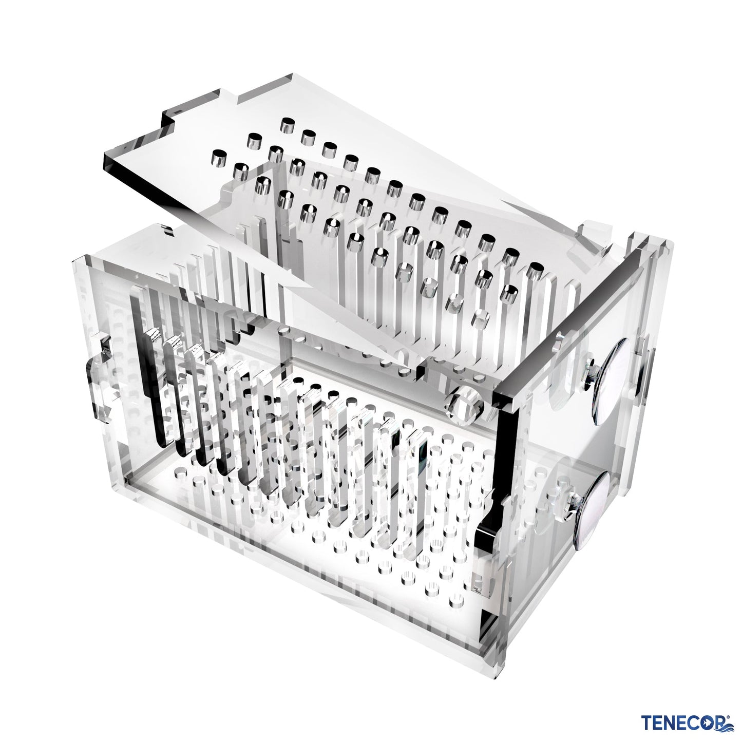 Tenecor® Acclimation Box 6x4x4
